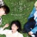Drama Review: At a Distance, Spring is Green