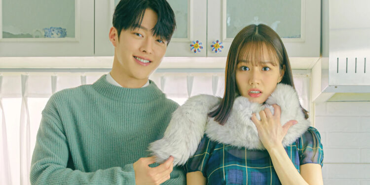 Review: My Roommate Is A Gumiho Tells A Romantic Cohabitation Story With A Supernatural Twist