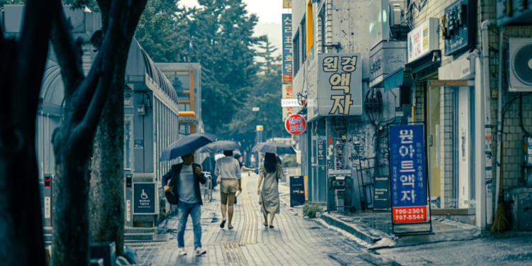 장마템 (Jang-Ma-Tem) – Must‑Have Essentials During Monsoon Season!