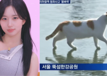 Korean Brainrot 101: A Look Into The Origins Of Popular Korean Memes