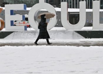 Winter In Korea 101: Essentials You Need, Not Want