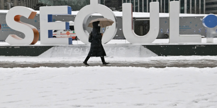 Winter In Korea 101: Essentials You Need, Not Want