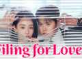 K-Drama Recommendation of the Week – ‘Filing for Love’: Audits, Awkwardness, and Unavoidable Attraction