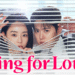 K-Drama Recommendation of the Week – ‘Filing for Love’: Audits, Awkwardness, and Unavoidable Attraction